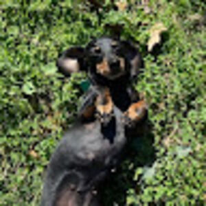 Meet your Posher, Mariela